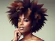 afro-haare-verlaengern-tipps-und-tricks